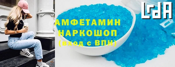 мдпв Бородино