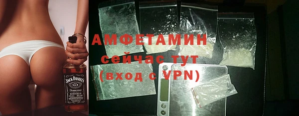 мдпв Бородино