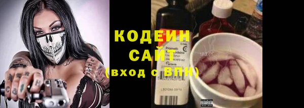 мдпв Бородино