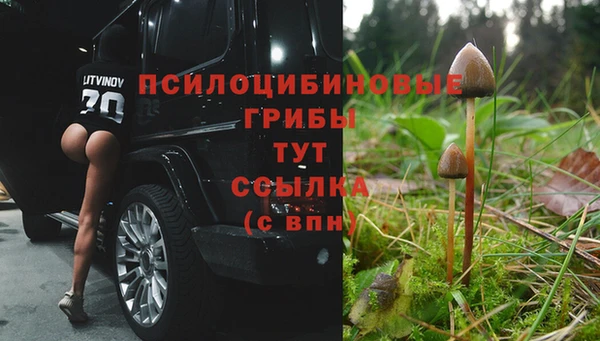 мдпв Бородино