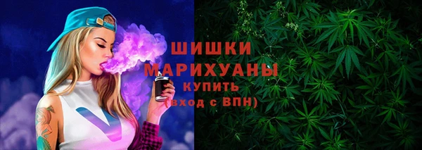 мдпв Бородино