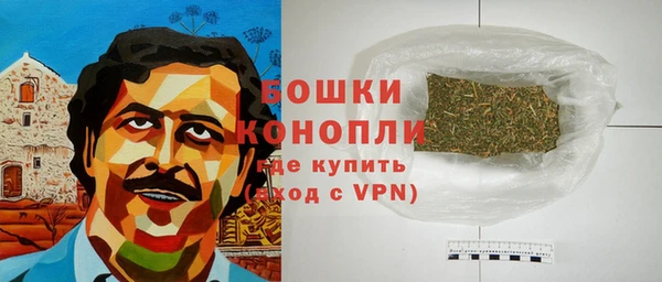 мдпв Бородино