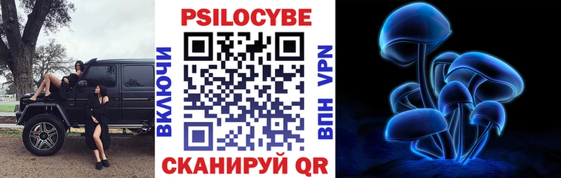 Галлюциногенные грибы Cubensis  Грязи 